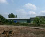 ขายโรงงานราคาถูกต่อรองได้ขายโกดังโรงงานพร้อมบ้านพักคนงานอยู่ตำบลบึงชำอ้ออำเภอหนองเสือจังหวัดประทุมธานี 