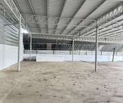 ให้เช่าโกดังให้เช่าโรงงานอยู่ถนนเพชรเกษมซอย81เขตหนองแขม กรุงเทพ ขนาดที่ดิน 395 ตรว. พื้นที่ใช้สอยรวม900ตารางเมตรปรังปรุงตกแต่งใหม่พร้อมใช้งาน