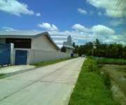 ขายโรงงานขายถูกๆๆลดราคาขายโกดังขายโรงงานด่วนๆขายต่ำกว่าราคาประเมินจาก20ล้านลดเหลือ 8.5ล้านบาทอยู่อำเภอสองพี่น้องจังหวัดสุพรรณบุรีเนื้อที่3ไร่2งานด้านหลังติดคลอง