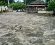 ายอาคารโกดัง/โรงงานมินิแฟคตอรี่อยู่ตำบลคลองมะเดื่อ อำเภอกระทุ่มแบน จังหวัดสมุทรสาคร เนื้อที่ 251ตารางวา